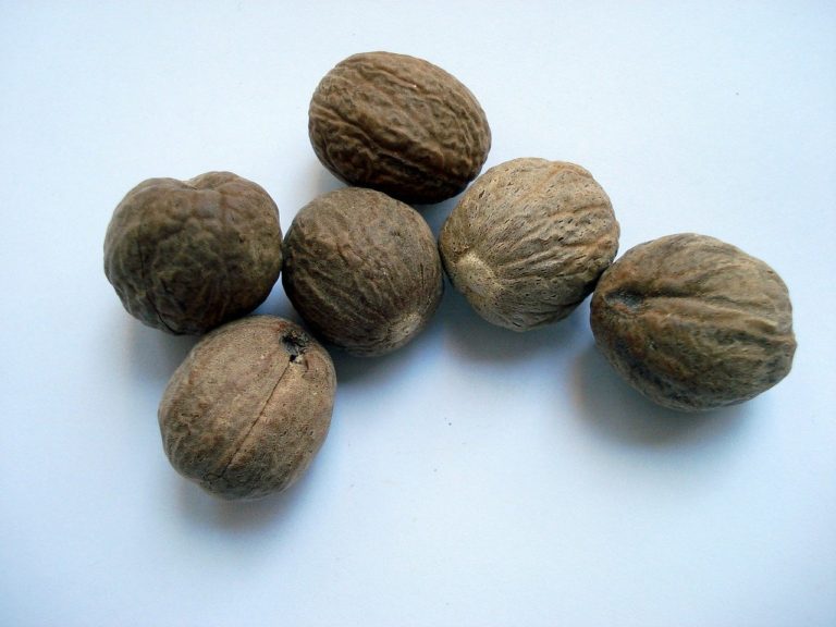 Buy whole nutmeg in bulk