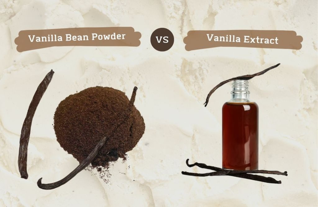 Vanilla extract vs vanilla extract