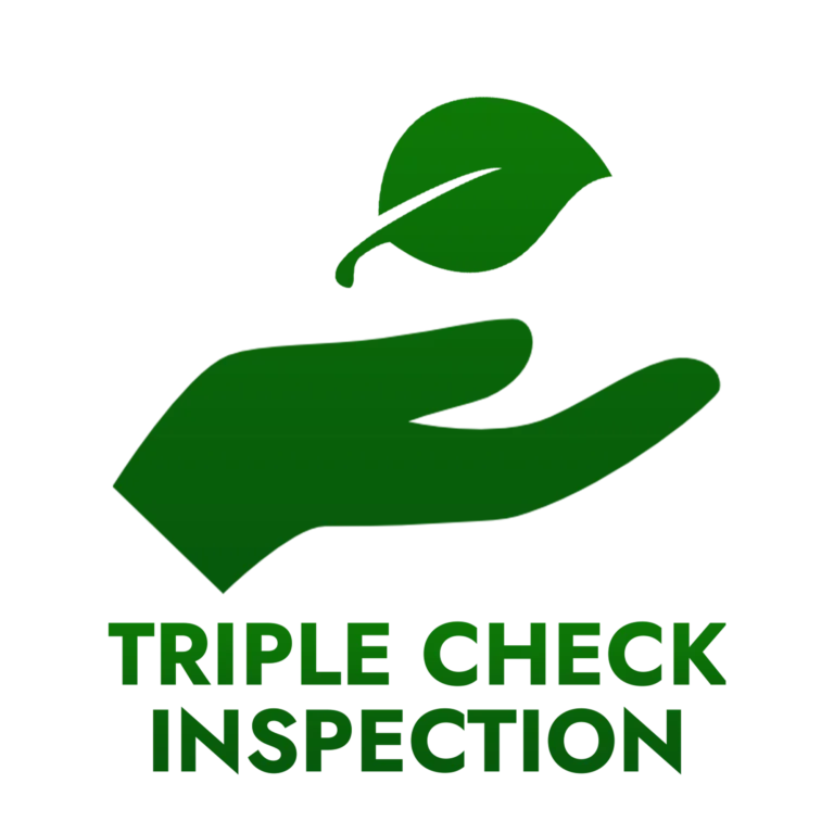 icon triple check inspection