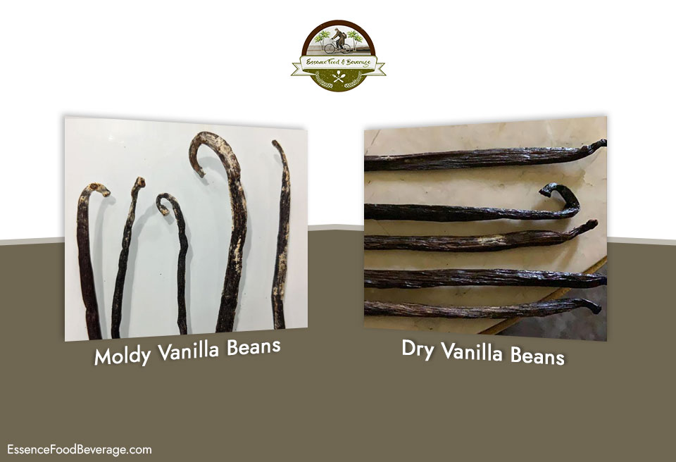 Moldy or Dry Vanilla Beans