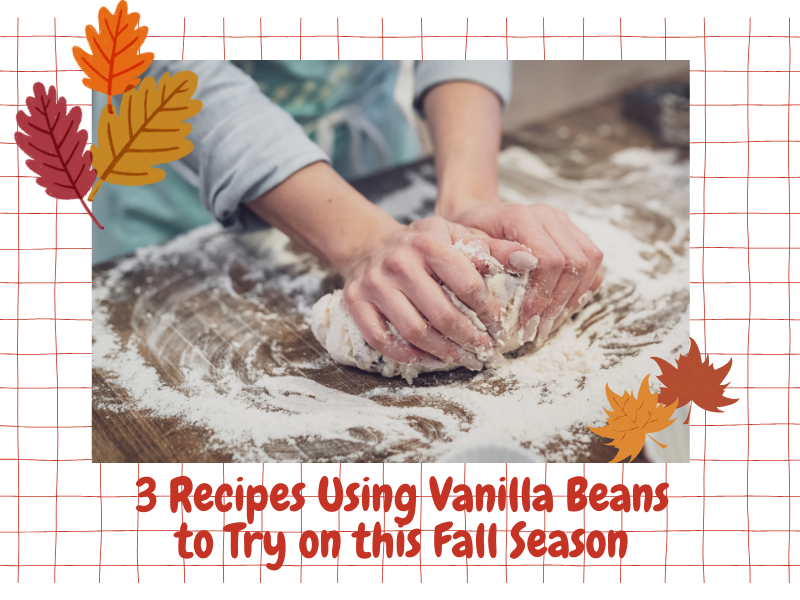 recipes for fall season